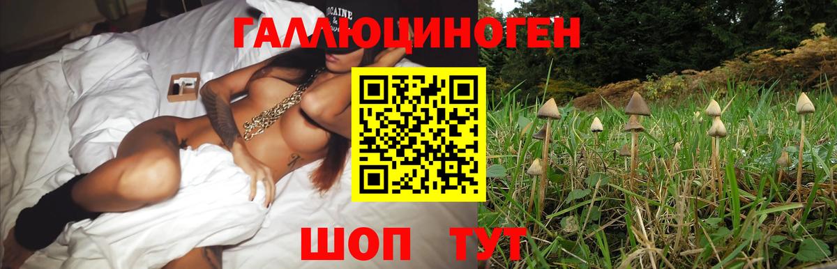 Чистополь  Псилоцибиновые грибы Magic Shrooms  Вход с VPN  Псилоцибиновые грибы Cubensis 