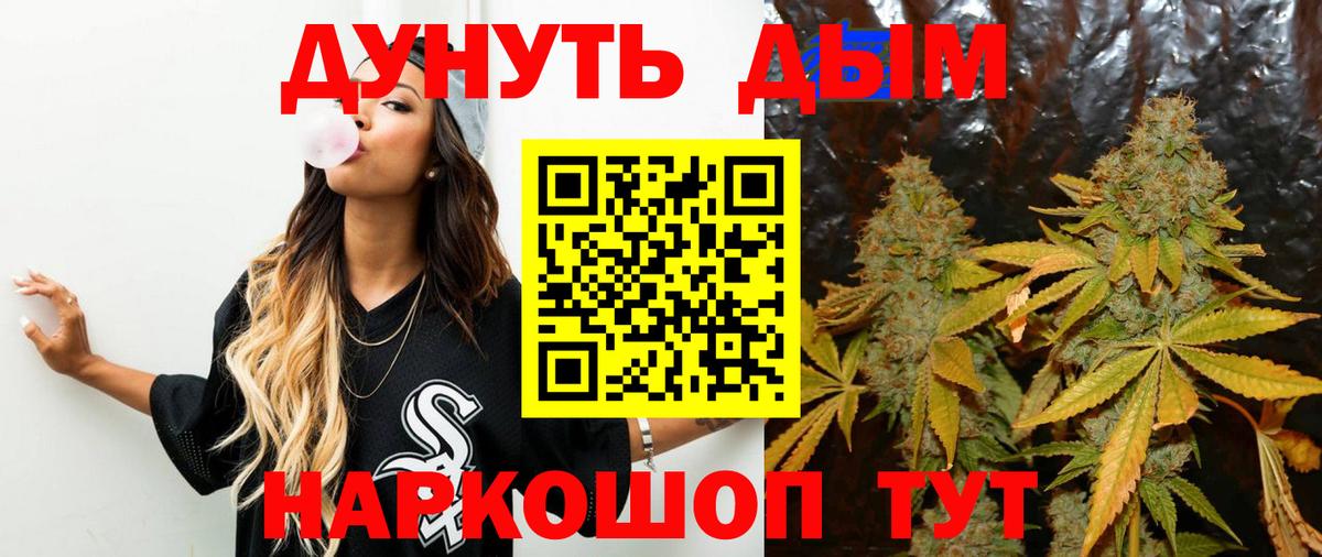Чистополь  Каннабис ГИДРОПОН  Вход с VPN  Конопля VHQ 